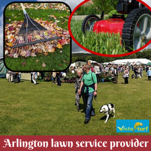 Lawn Service Provider