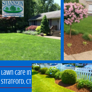 http://www.shannonlandscaping.com/lawn-care-stratford-ct