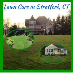 trusted provider of lawn care and landscaping services in CT