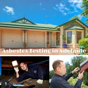 trusted provider of asbestos inspection services in Adelaide