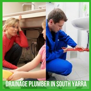 trusted plumbing company in South Yarra